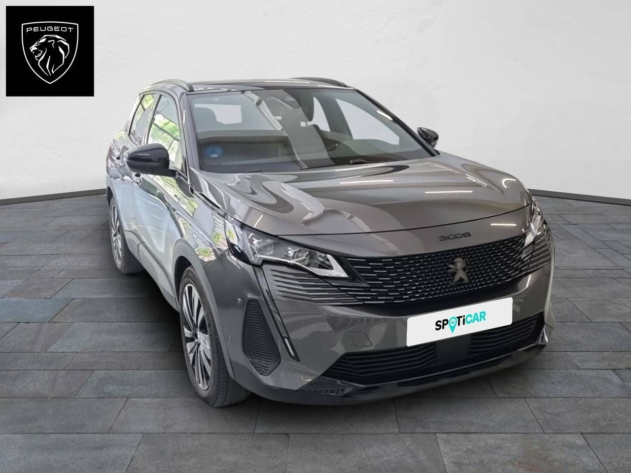 Foto Peugeot 3008 3
