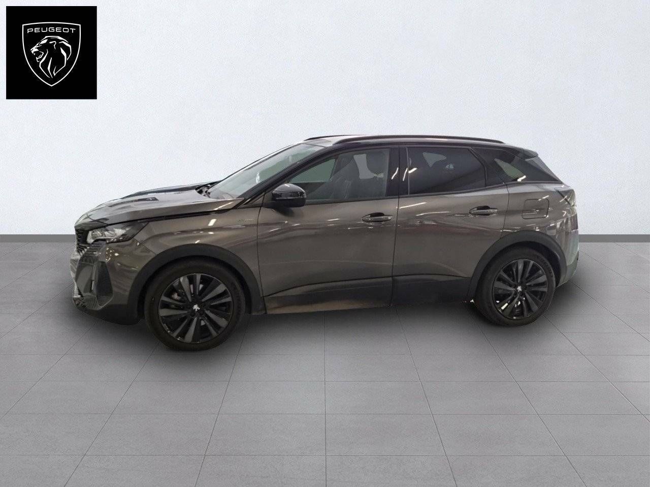Foto Peugeot 3008 4