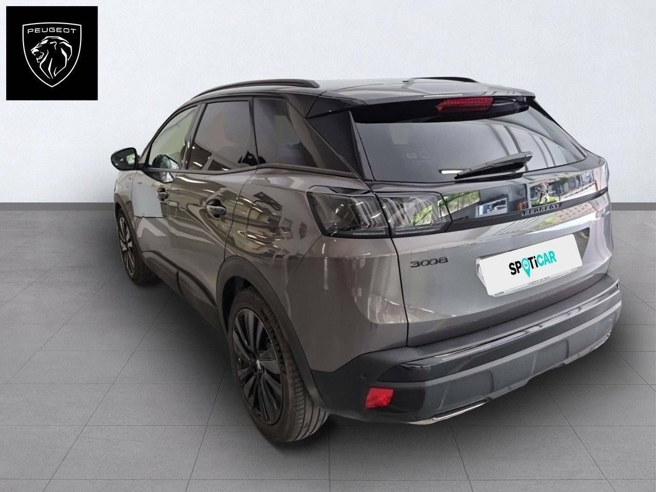 Foto Peugeot 3008 7