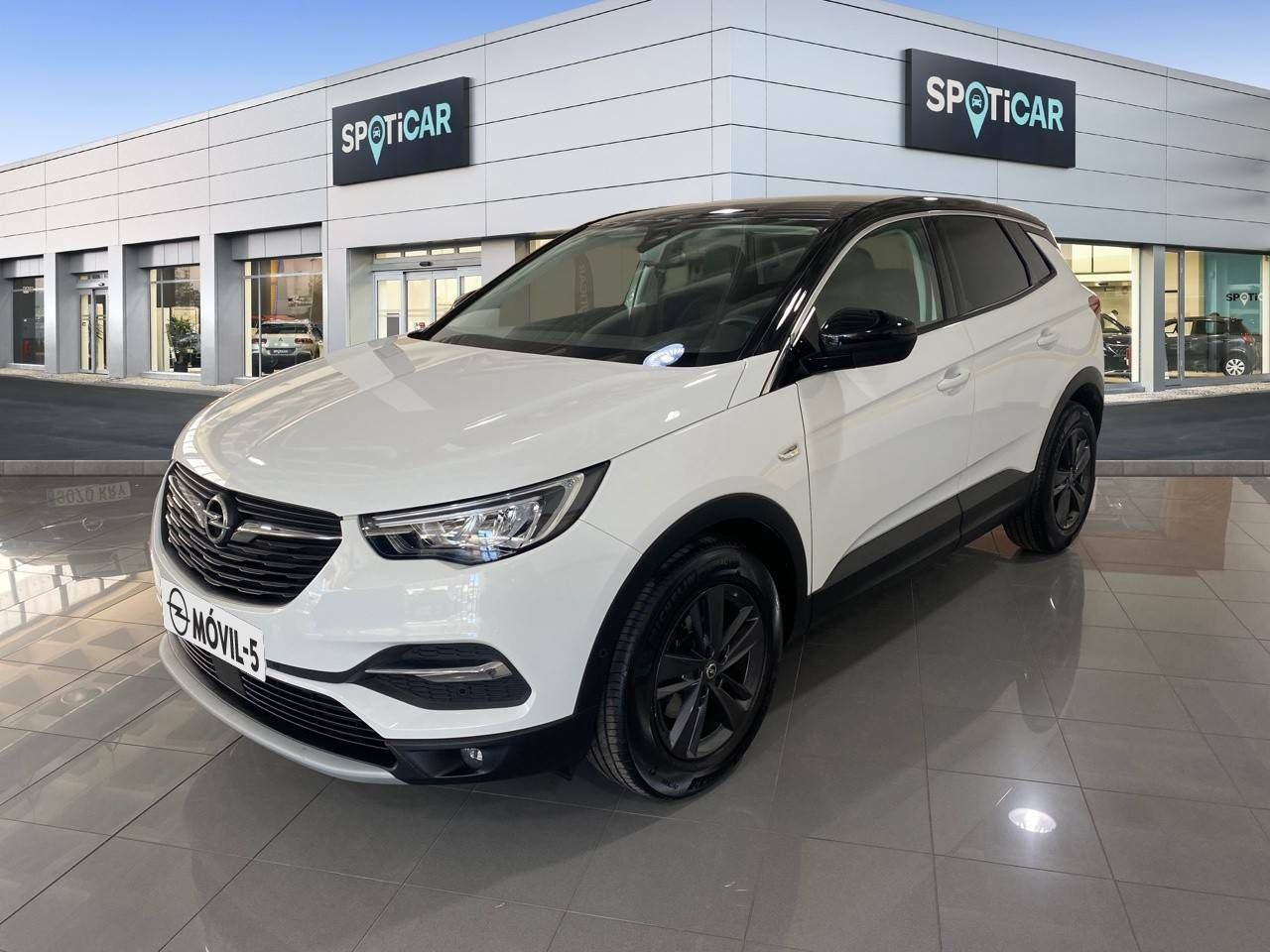 Foto Opel Grandland X 1