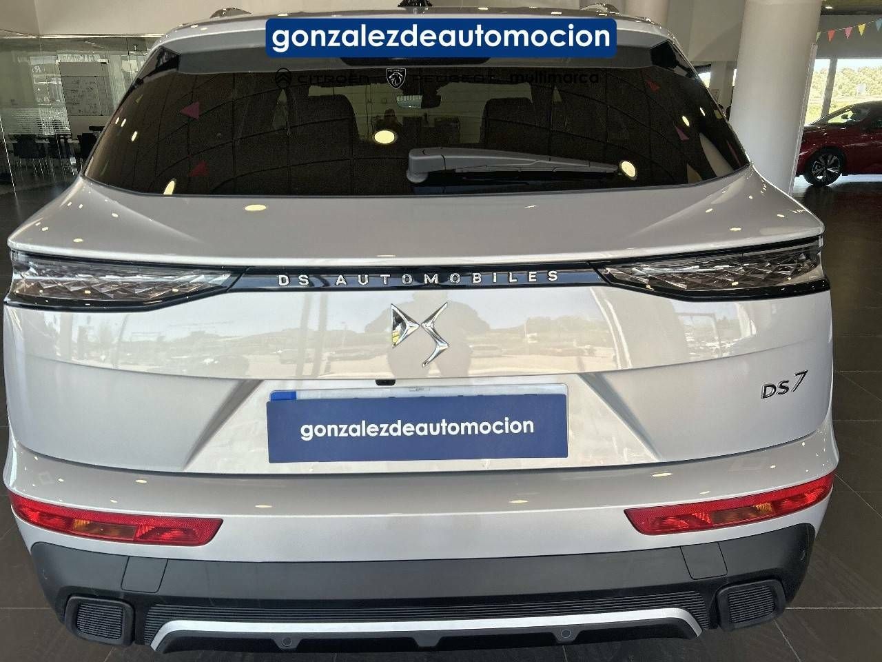 Foto DS Automobiles DS 7 13