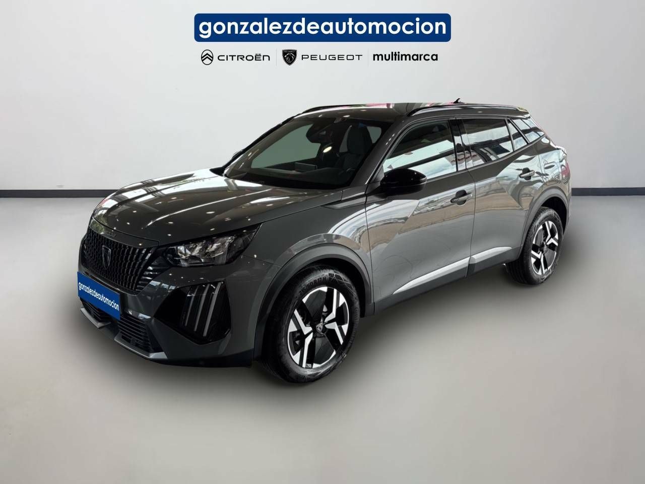 Foto Peugeot 2008 1