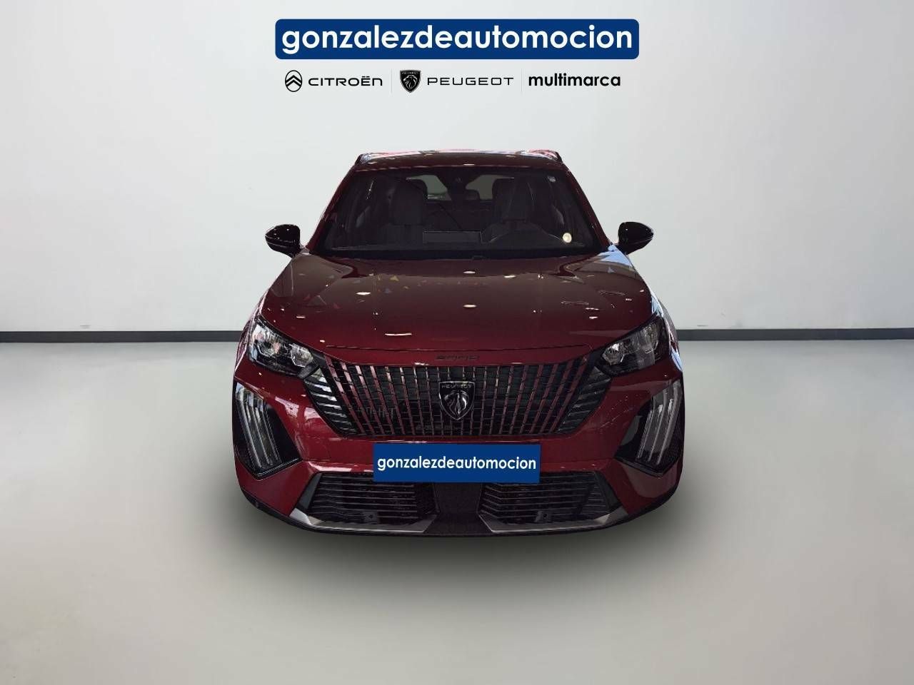 Foto Peugeot 2008 2