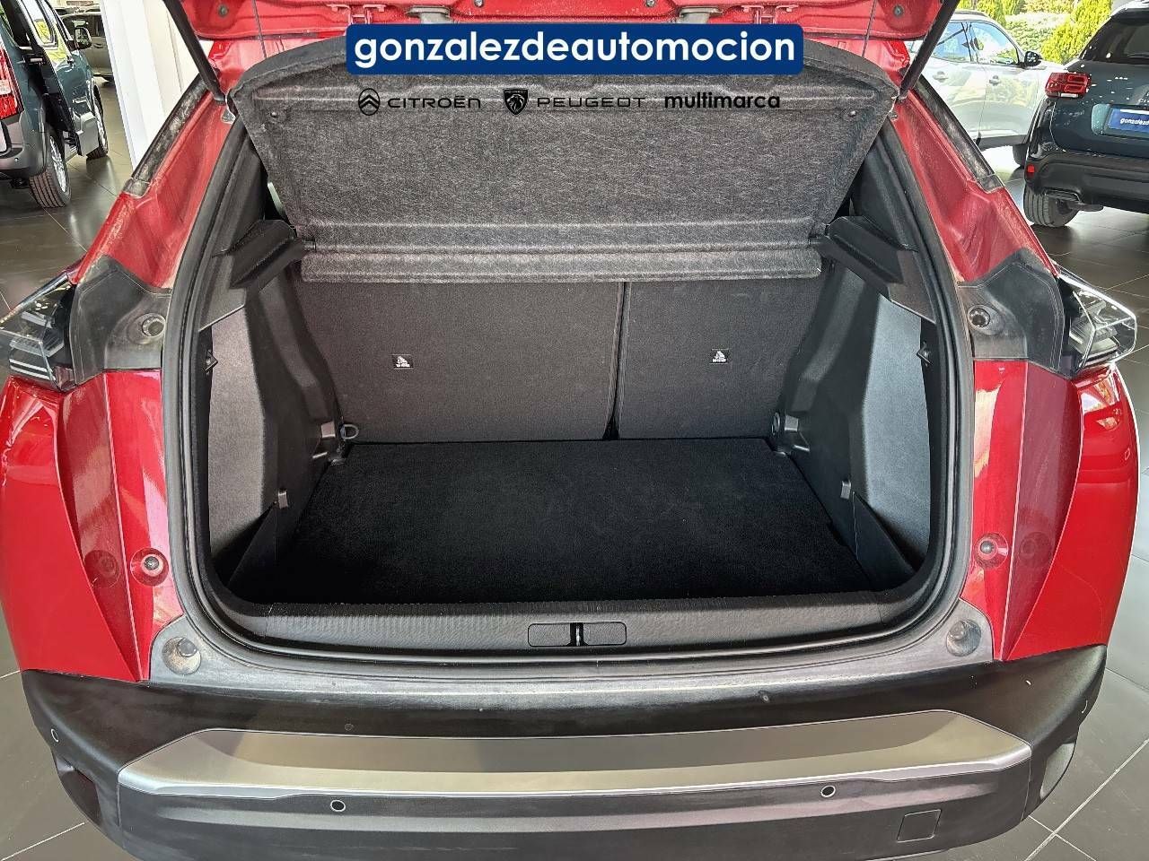 Foto Peugeot 2008 6