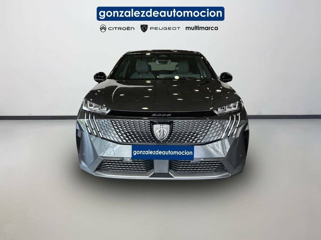 Foto Peugeot 3008 2