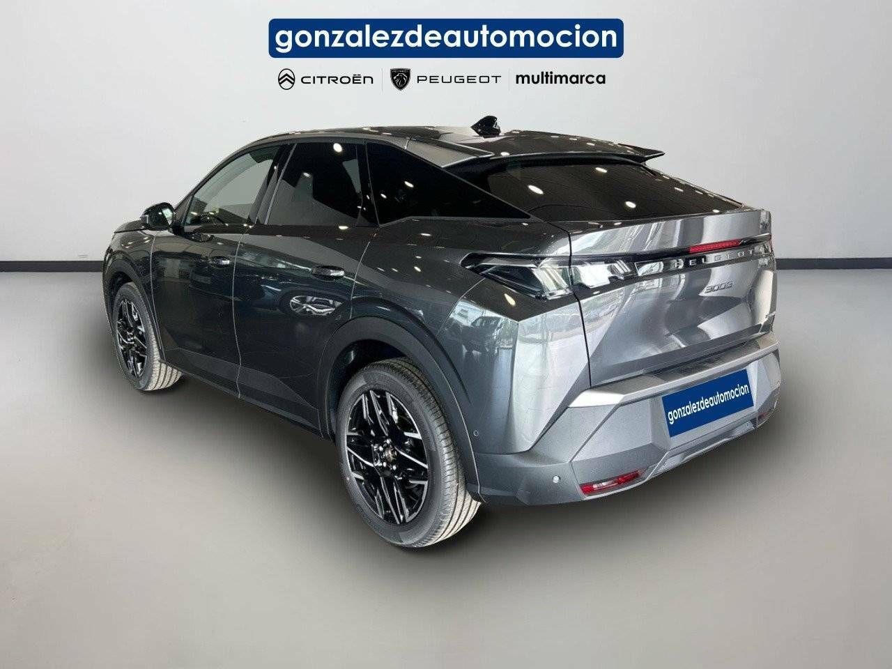 Foto Peugeot 3008 7