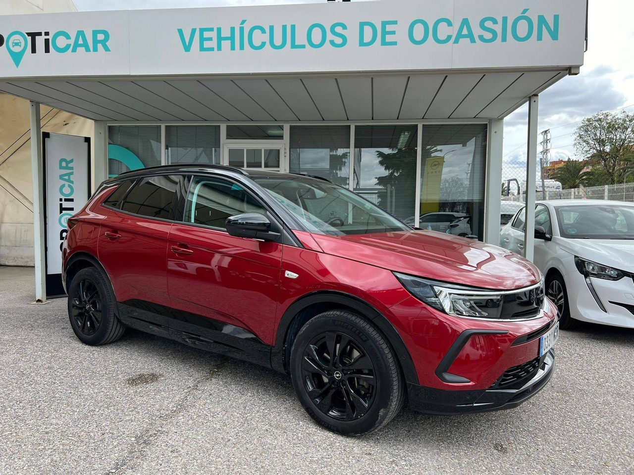 Foto Opel Grandland X 2