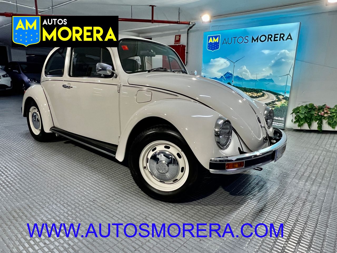 Foto Volkswagen Beetle 53