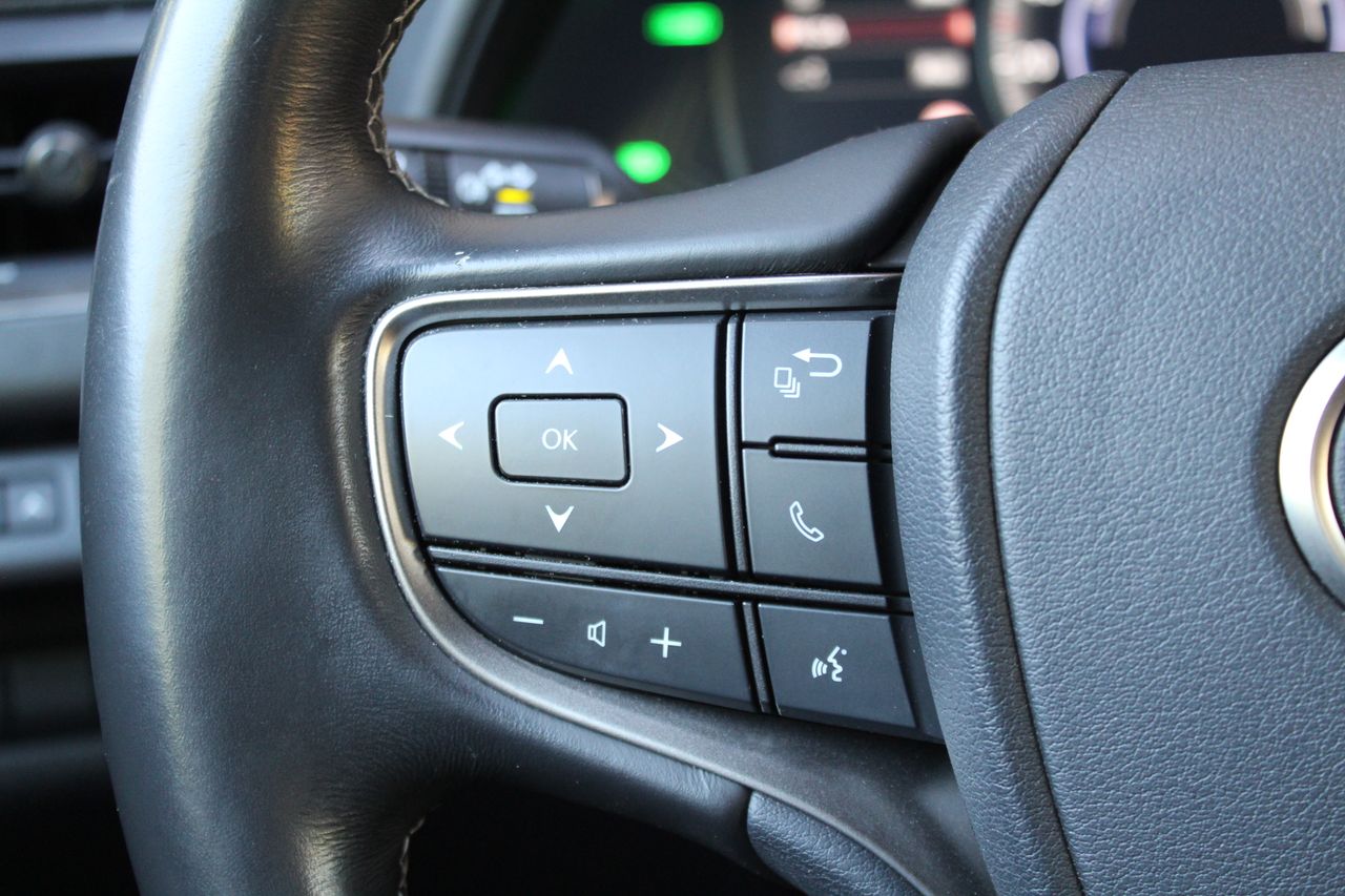 Foto Lexus UX 12