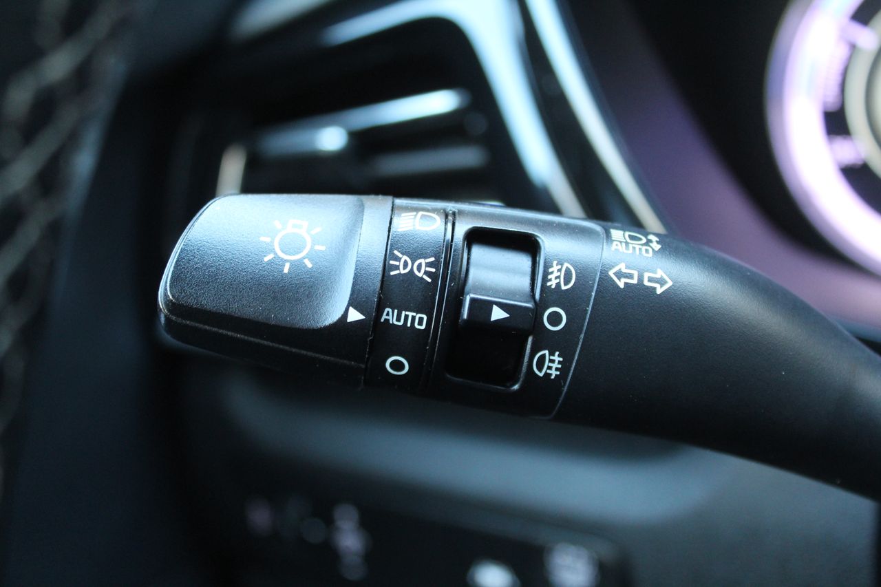 Foto Kia Niro 13