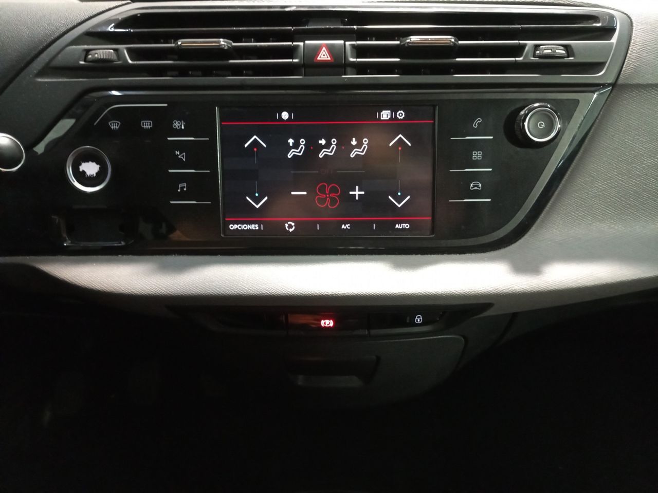 Foto Citroën C4 Picasso 18