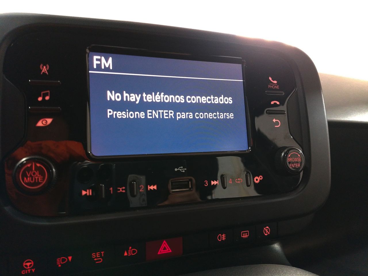 Foto Fiat Panda 16