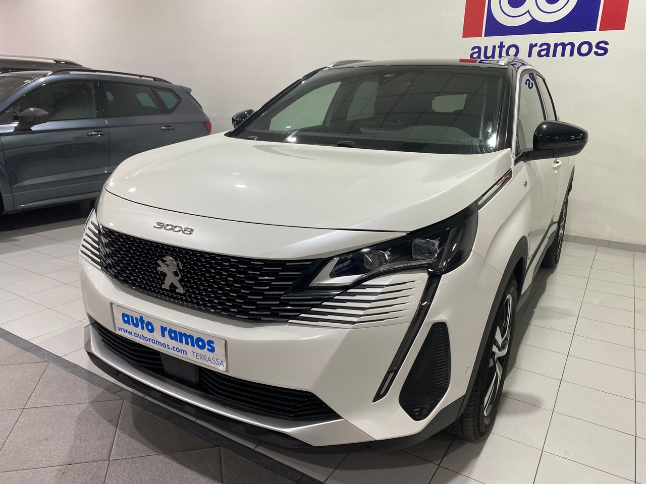 Foto Peugeot 3008 4