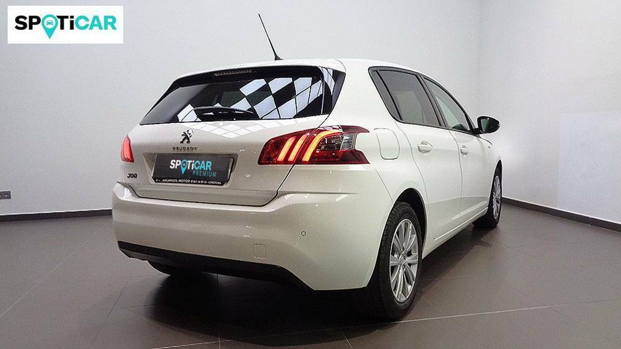 Foto Peugeot 308 12