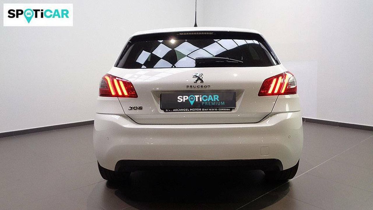 Foto Peugeot 308 13