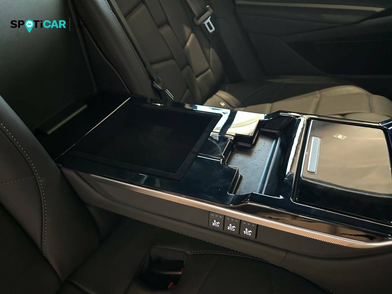 Foto DS Automobiles DS 9 18
