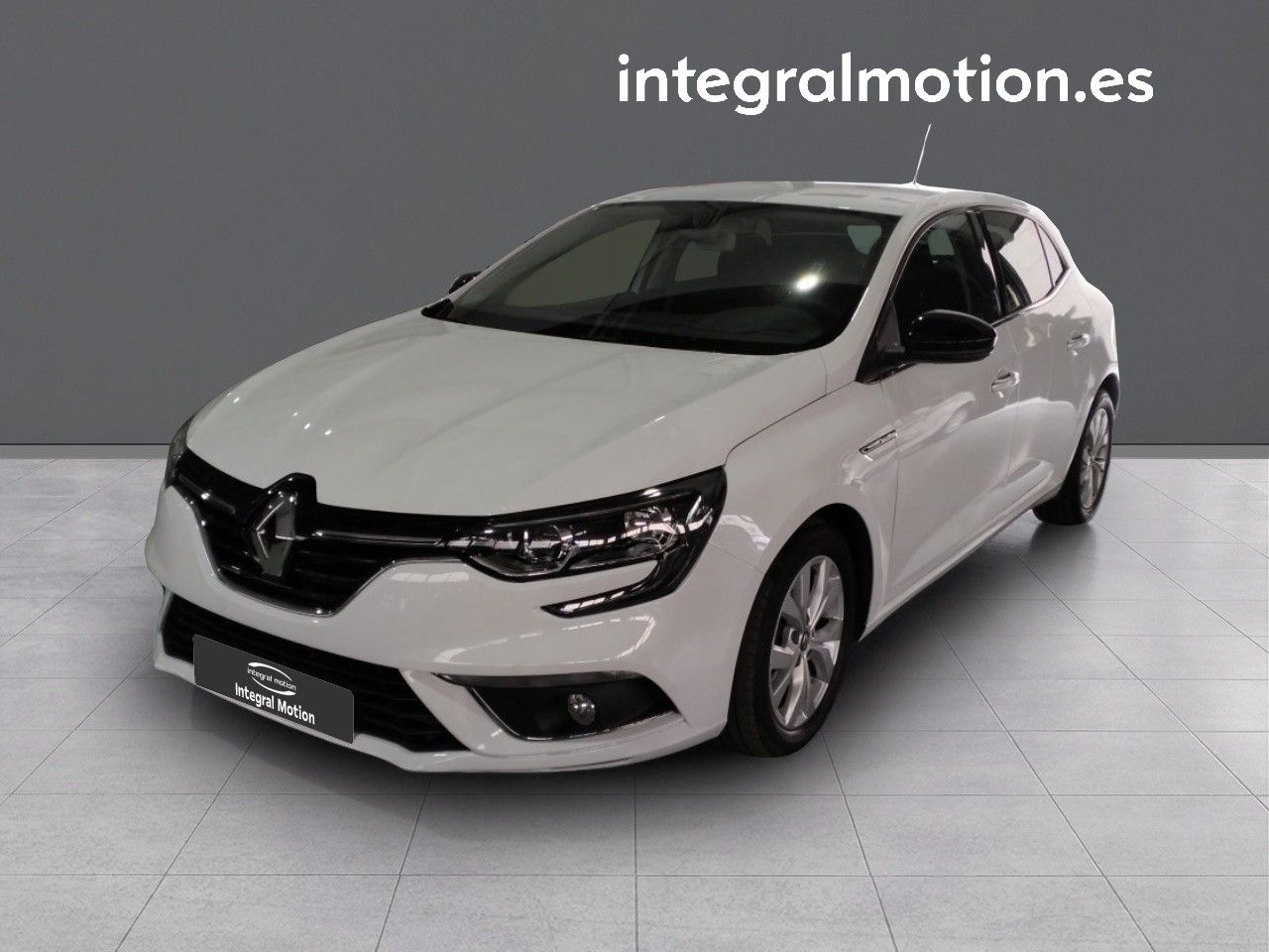 Foto Renault Mégane 1