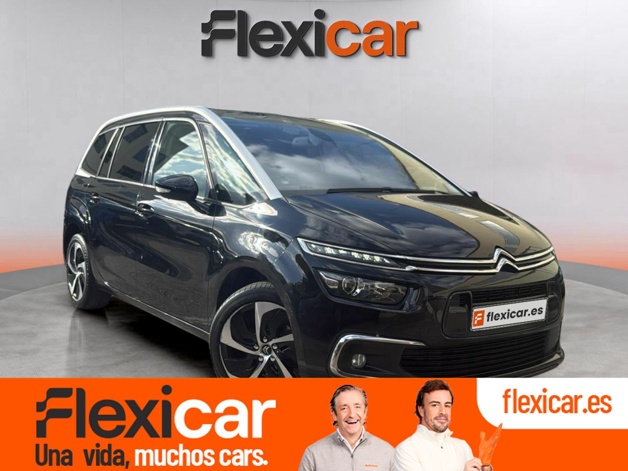 Foto Citroën Grand C4 Picasso 1