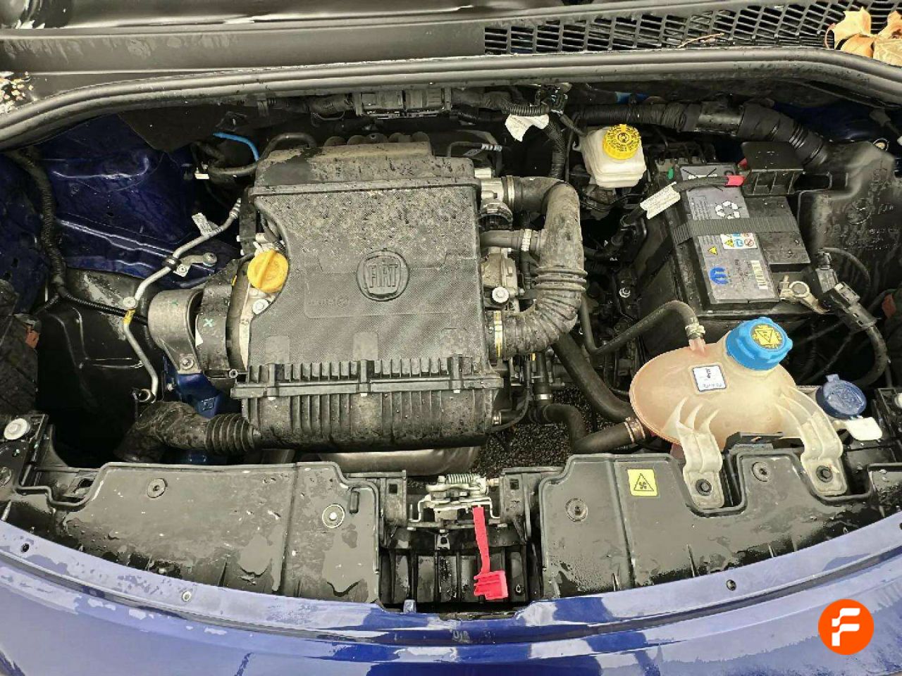 Foto Fiat 500L 23