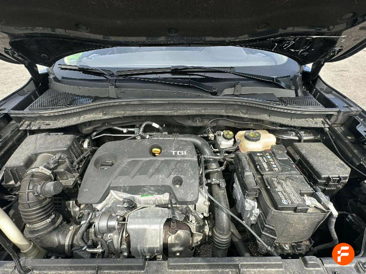 Foto MG ZS 23