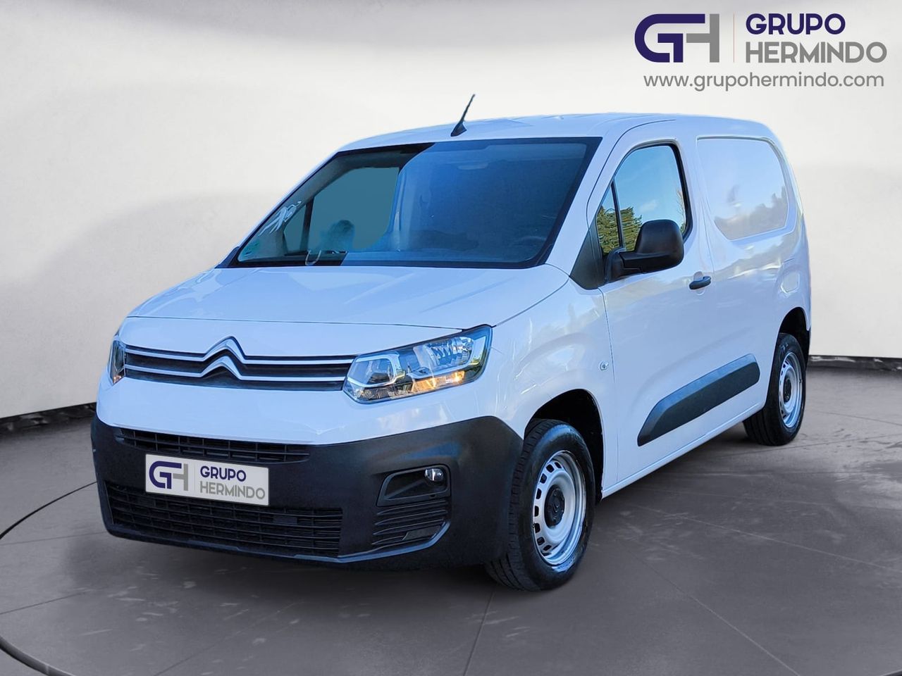 Foto Citroën Berlingo  Furgon 1