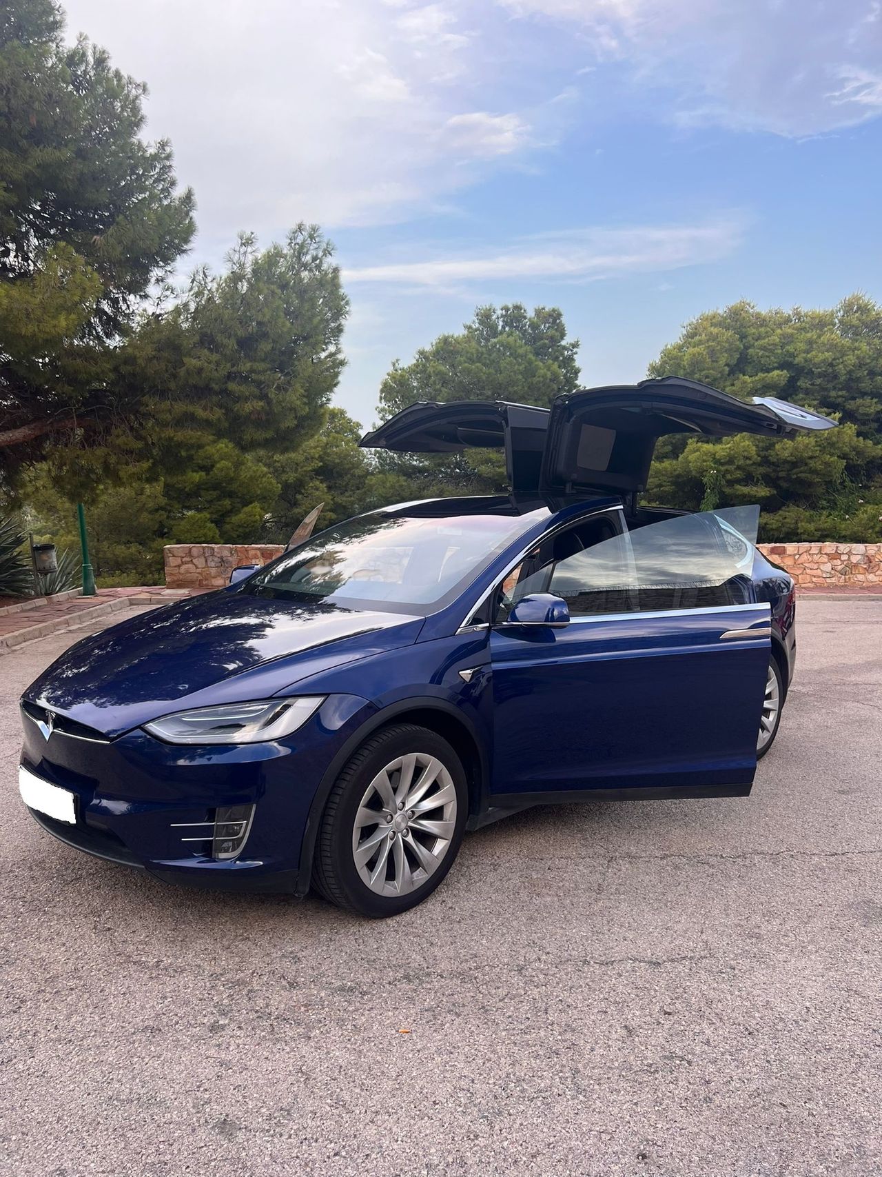 Foto Tesla Model X 1