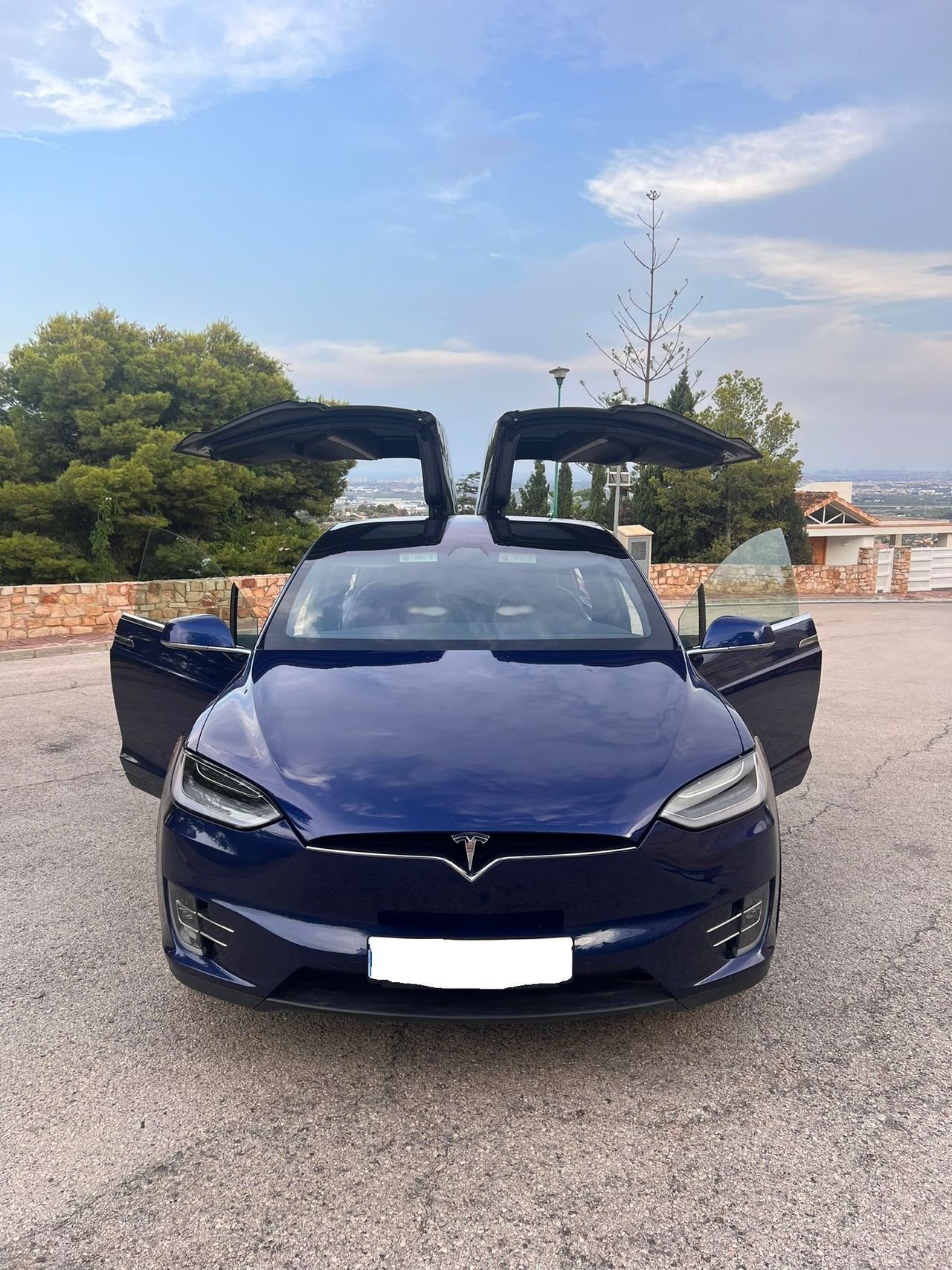 Foto Tesla Model X 2