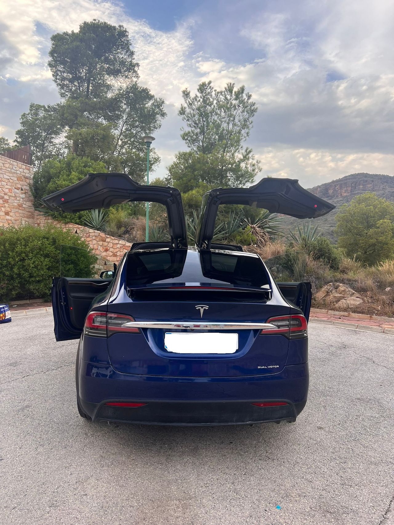 Foto Tesla Model X 4