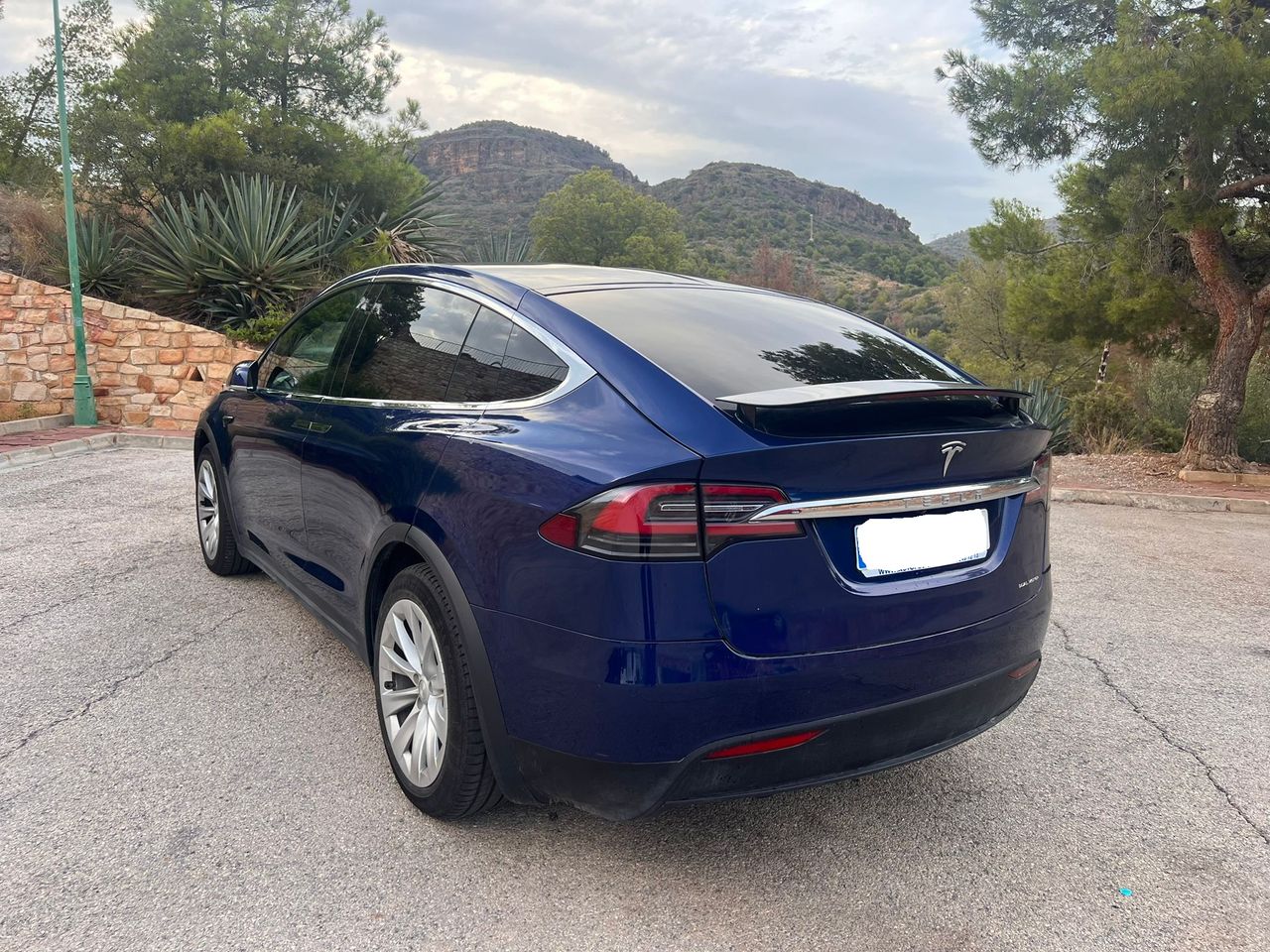 Foto Tesla Model X 6