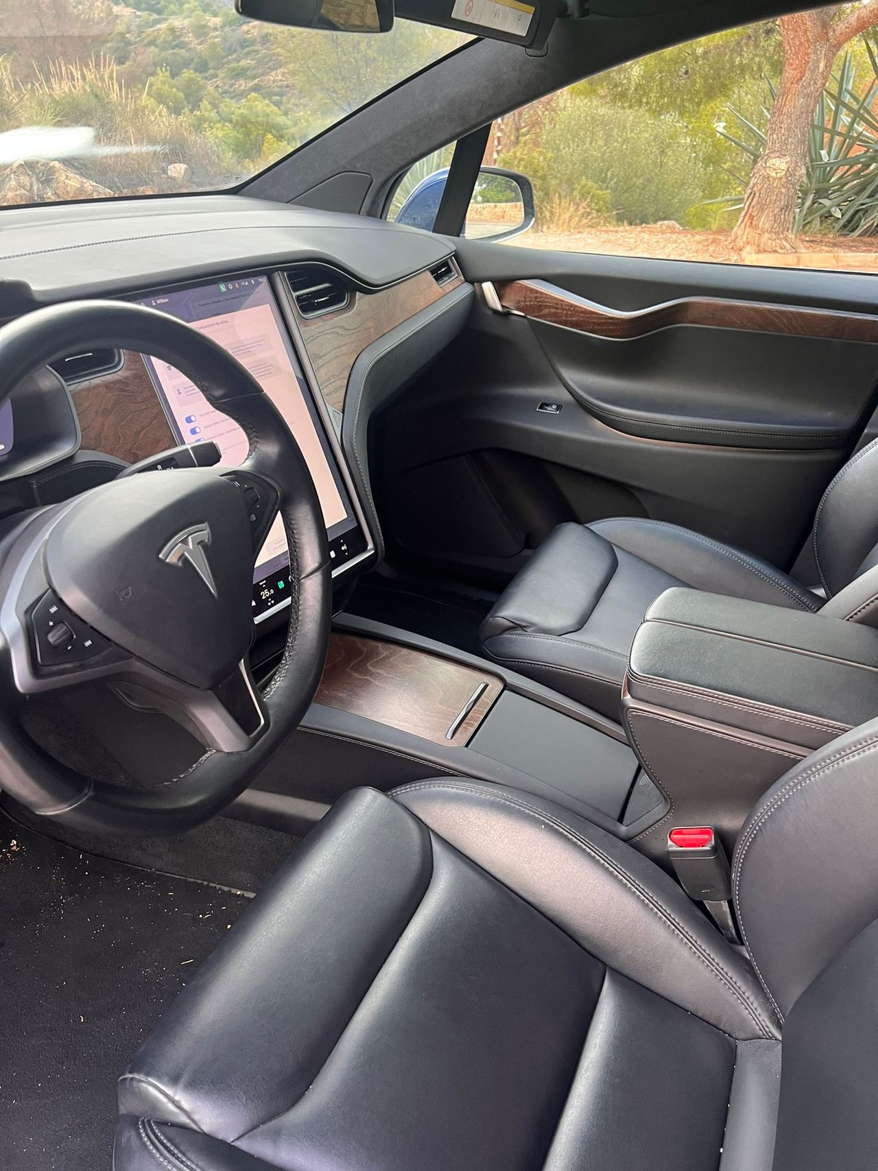 Foto Tesla Model X 9