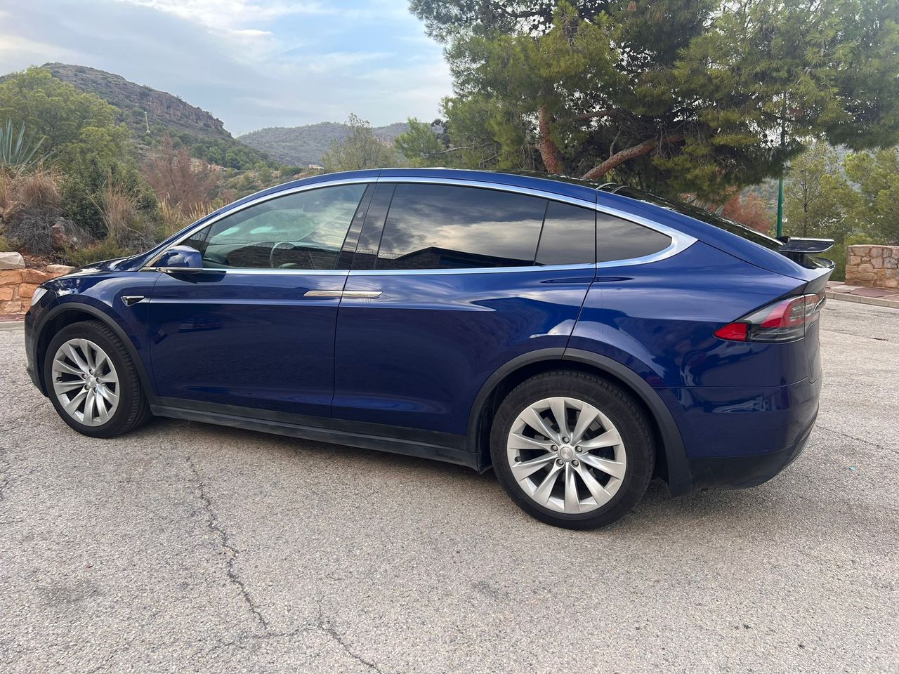 Foto Tesla Model X 10