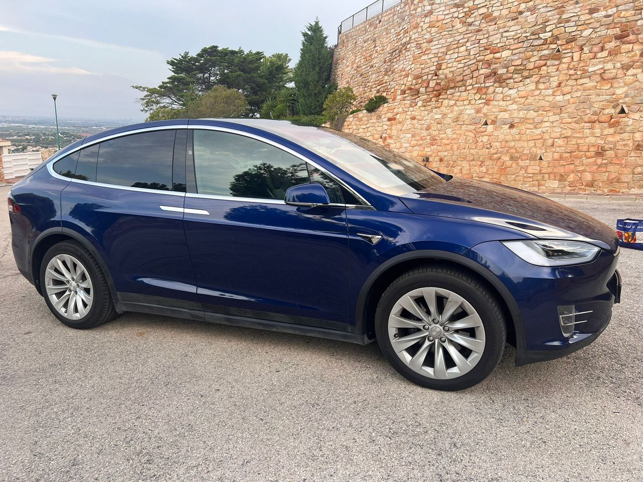 Foto Tesla Model X 11