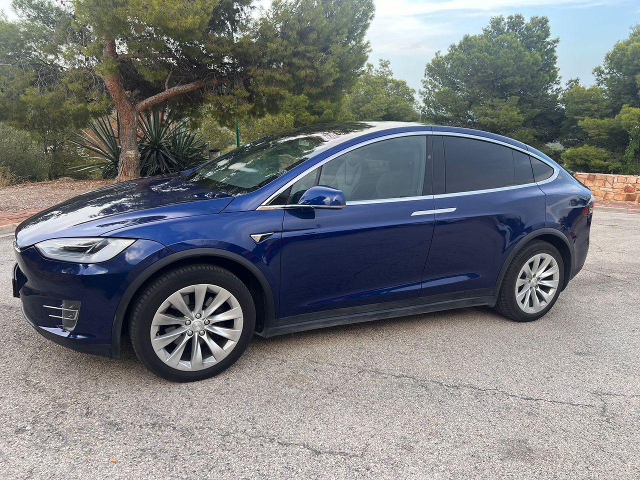 Foto Tesla Model X 12