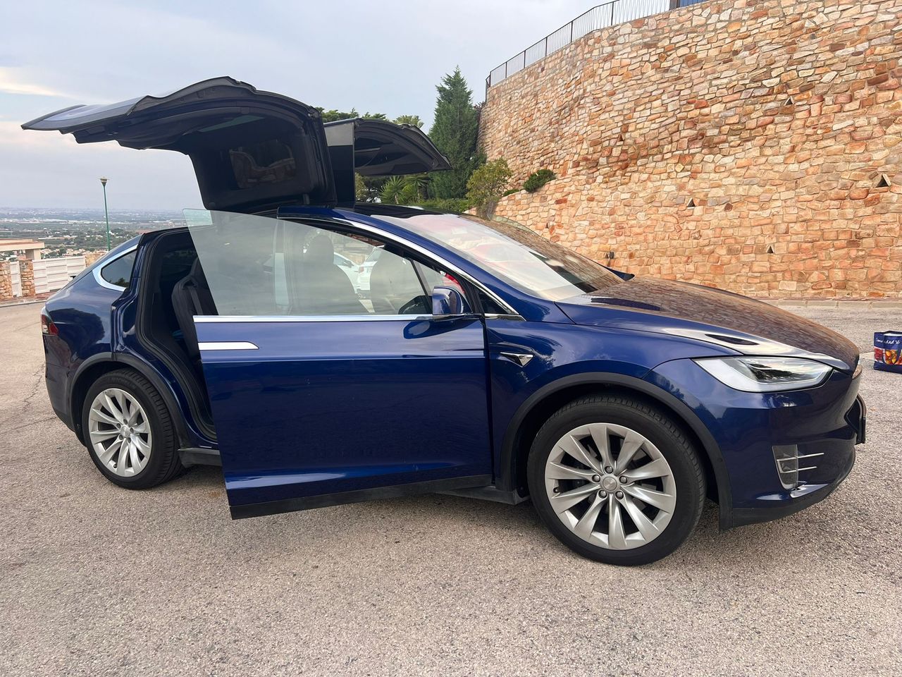 Foto Tesla Model X 14