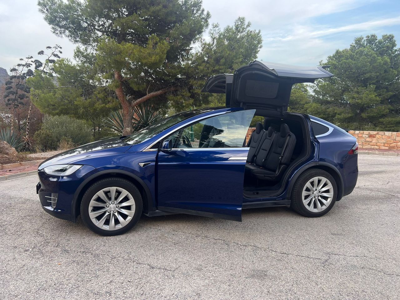 Foto Tesla Model X 15