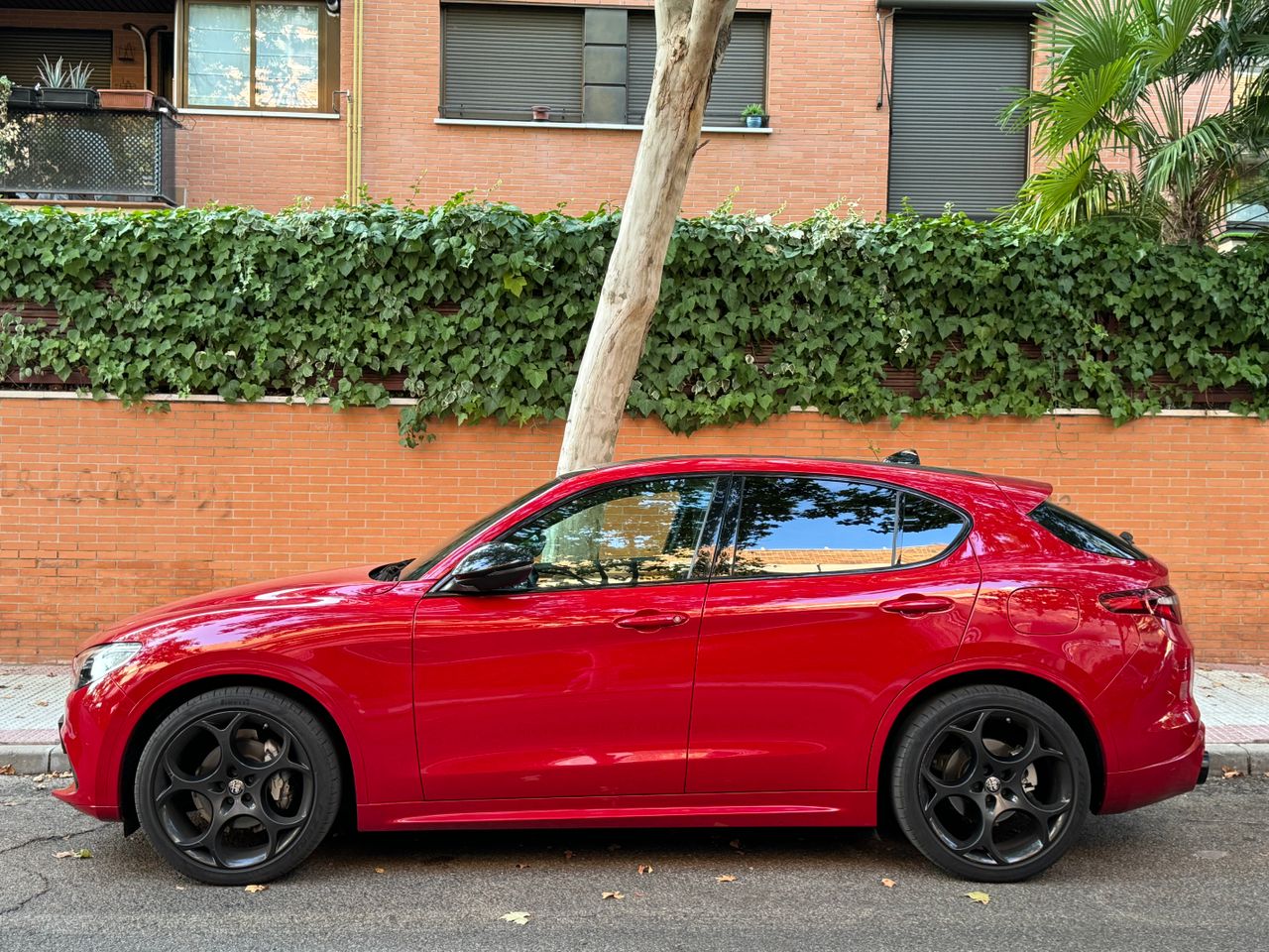 Foto Alfa Romeo Stelvio 2