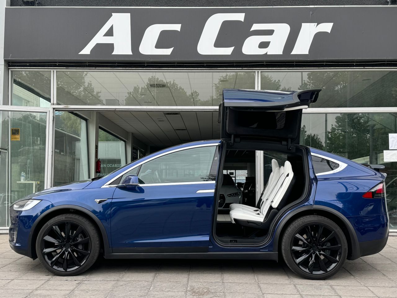 Foto Tesla Model X 1