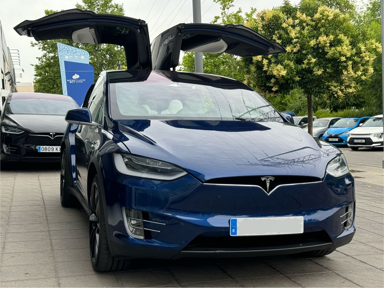 Foto Tesla Model X 15