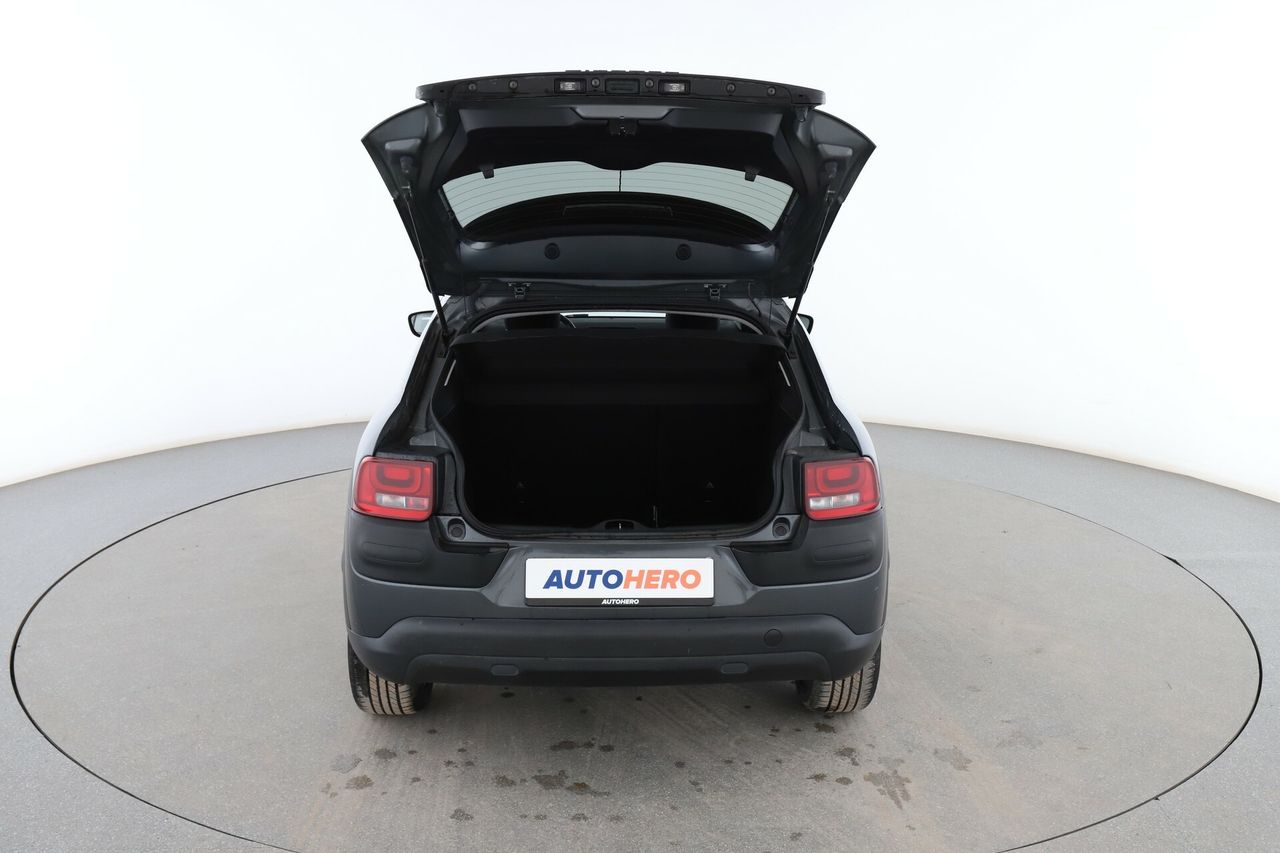 Foto Citroën C4 Cactus 17