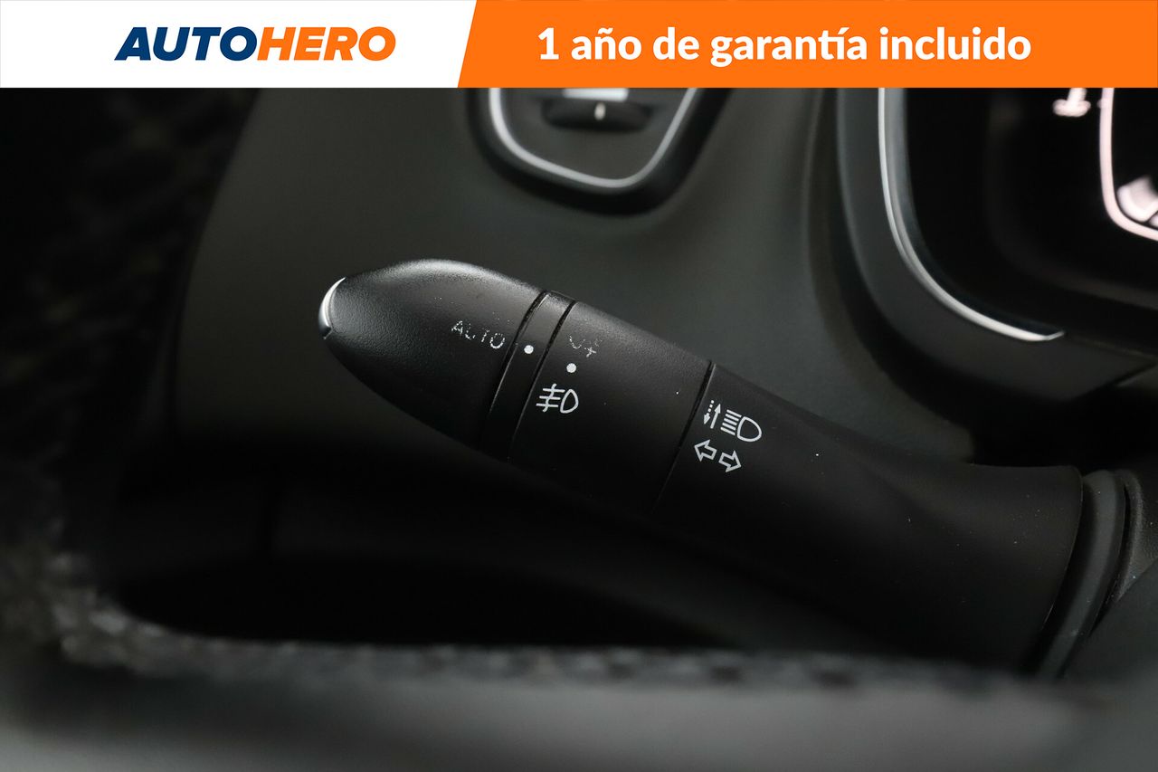 Foto Renault Scénic 27