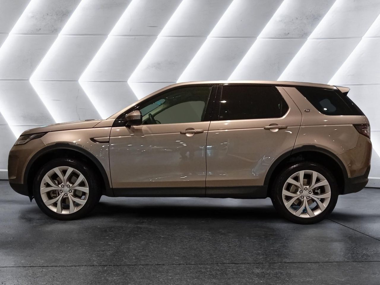 Foto Land-Rover Discovery Sport 2