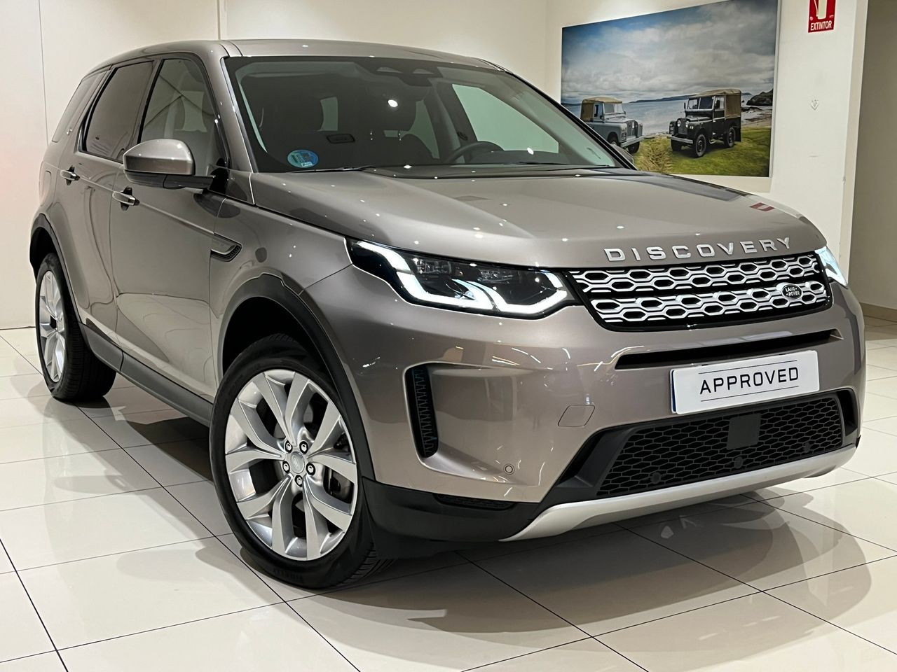 Foto Land-Rover Discovery Sport 19