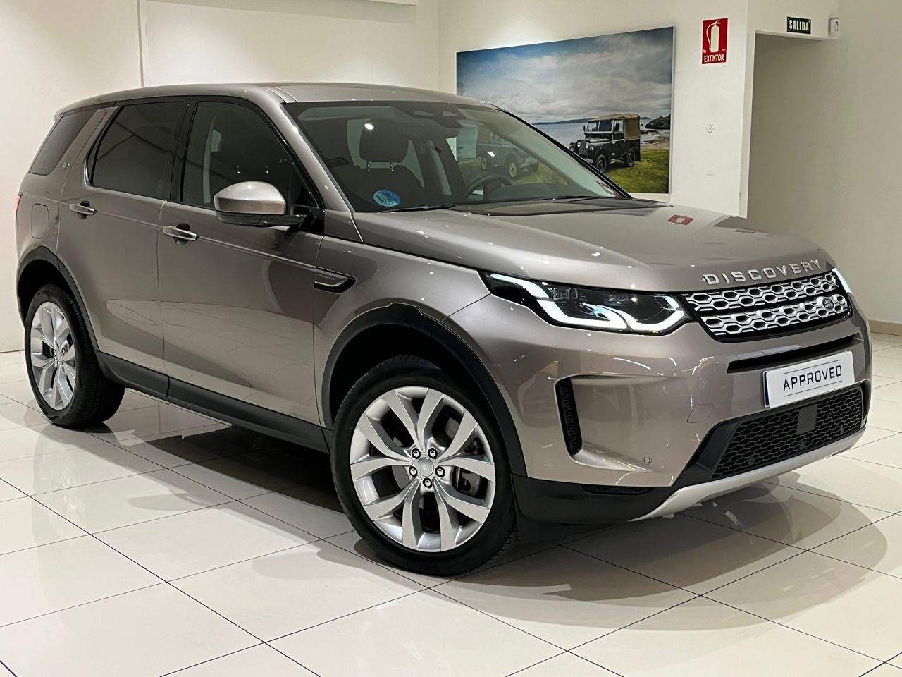 Foto Land-Rover Discovery Sport 21
