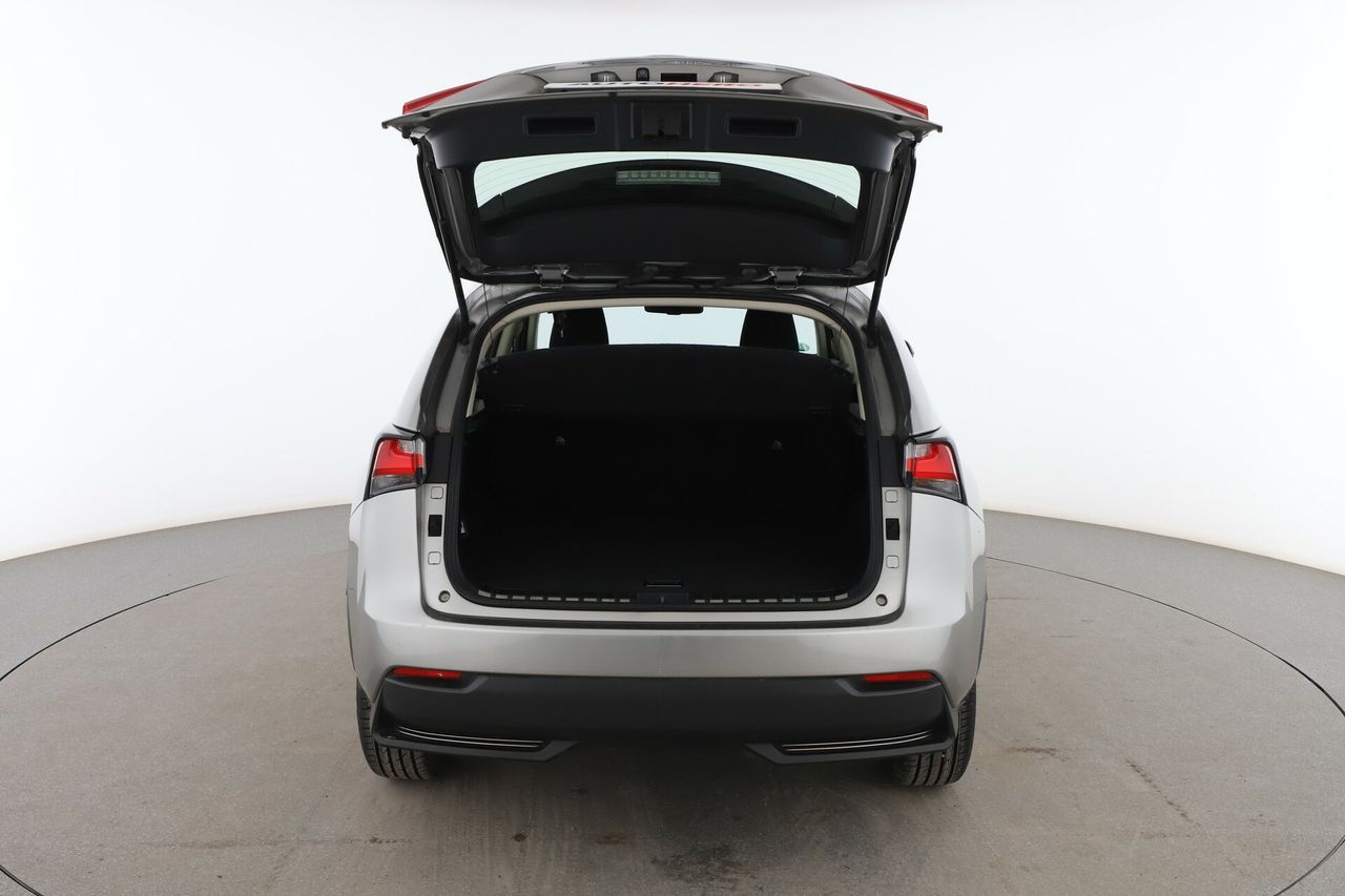 Foto Lexus NX 16