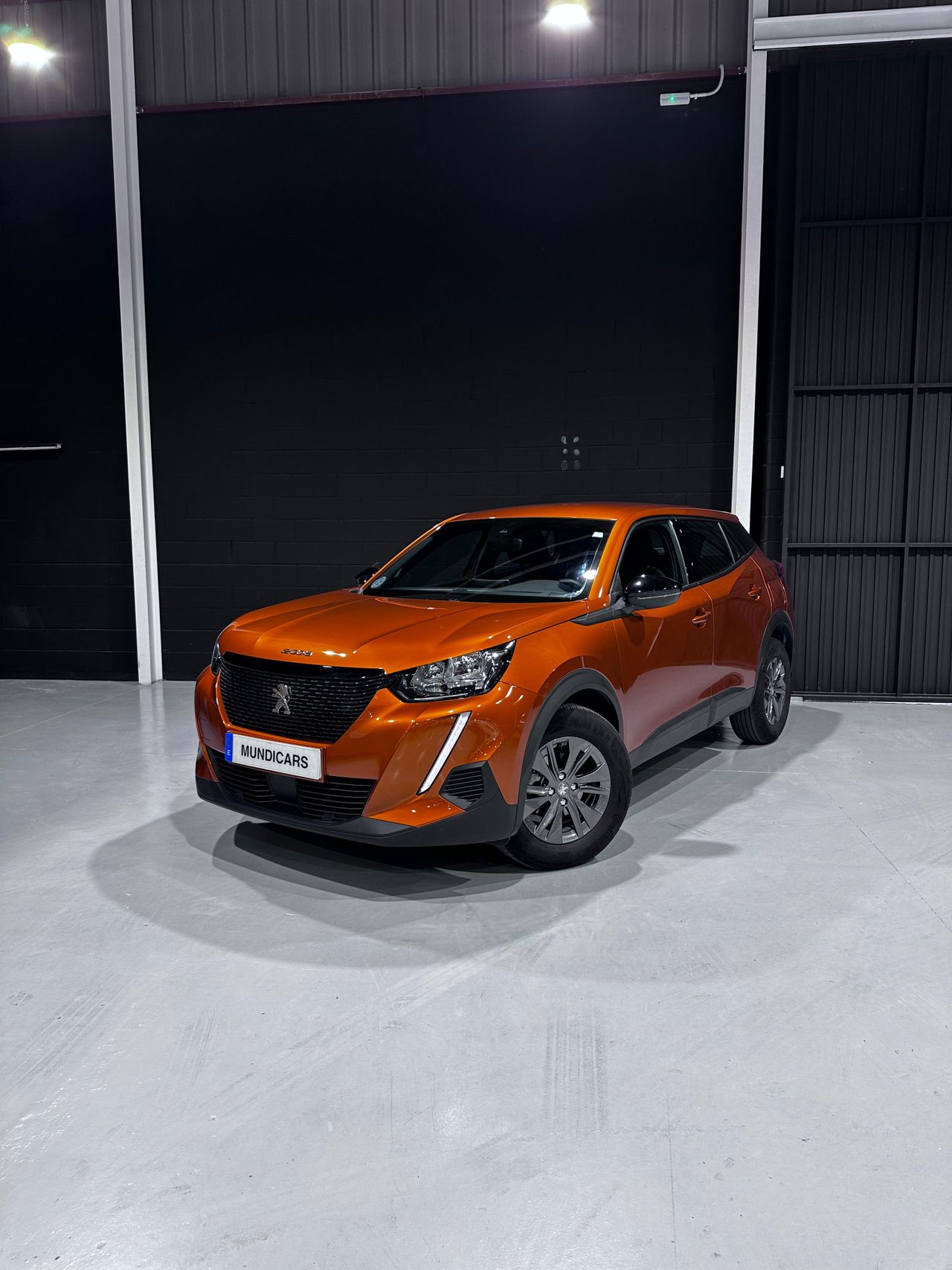 Foto Peugeot 2008 4