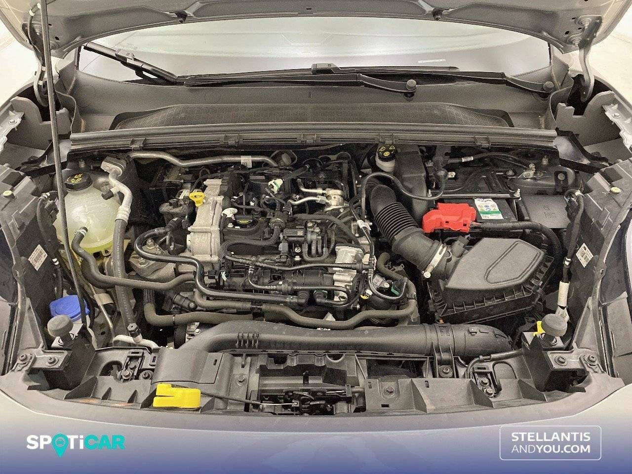 Foto Ford Puma 17