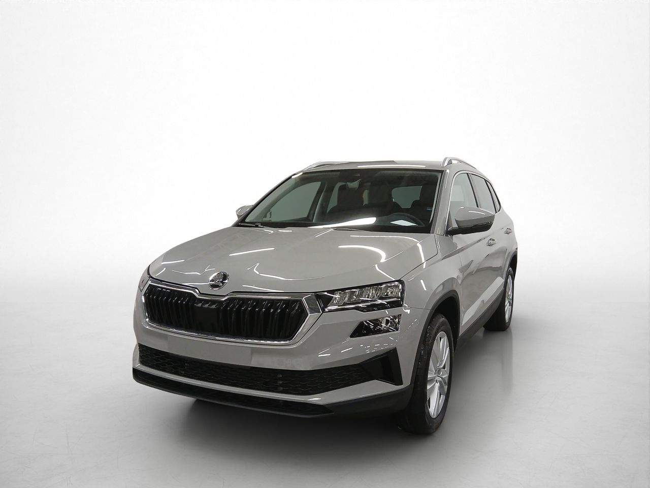 Foto Skoda Karoq 18