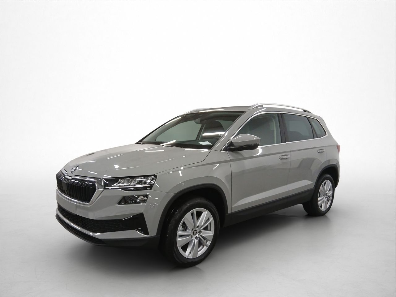 Foto Skoda Karoq 19