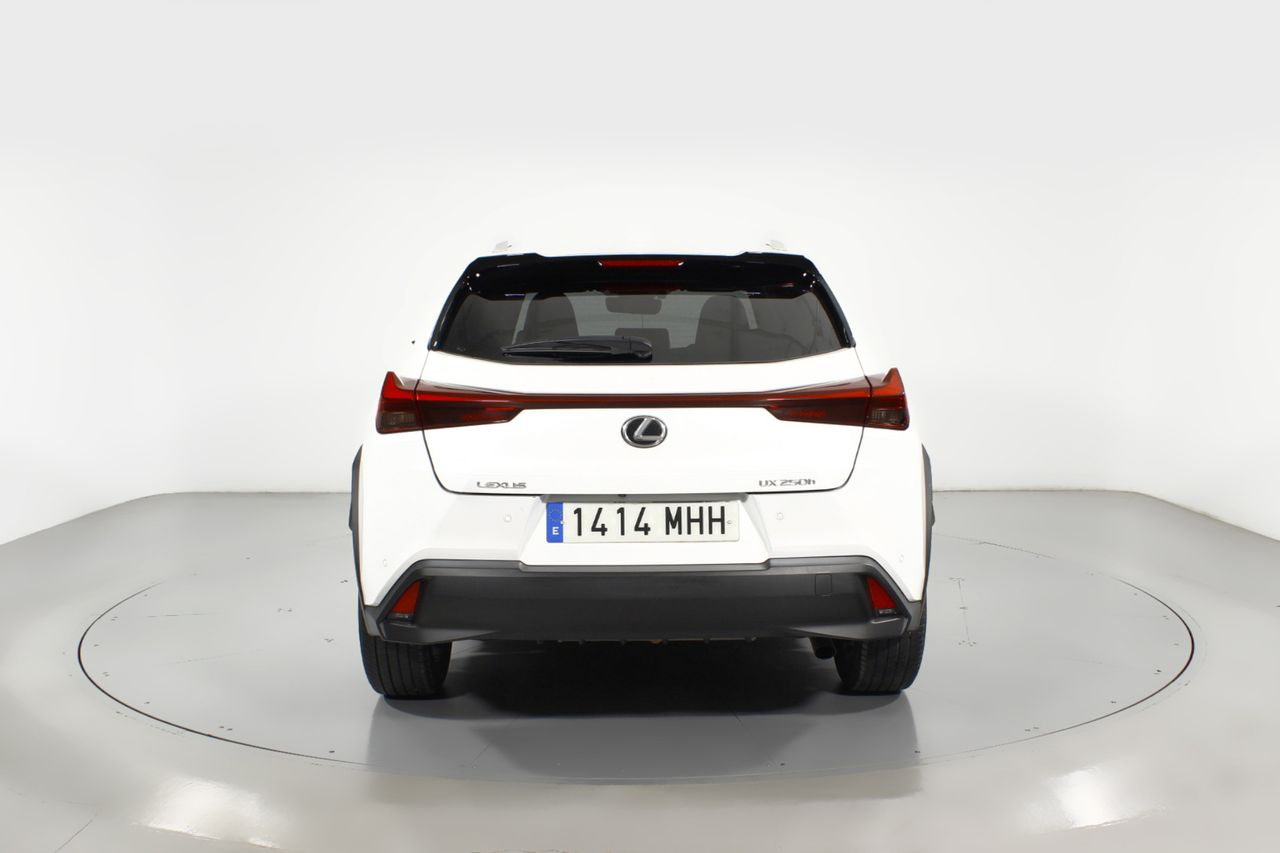 Foto Lexus UX 17