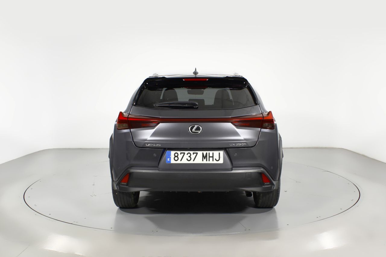 Foto Lexus UX 17